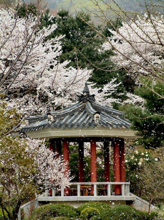 Foto: Ji�n� Korea-Pundang