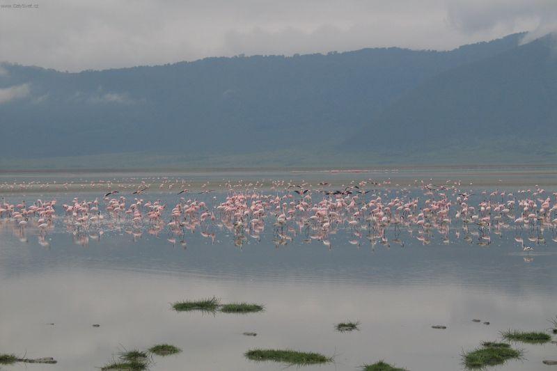 Fotky: Ke�a (cestopis) (foto, obrazky)