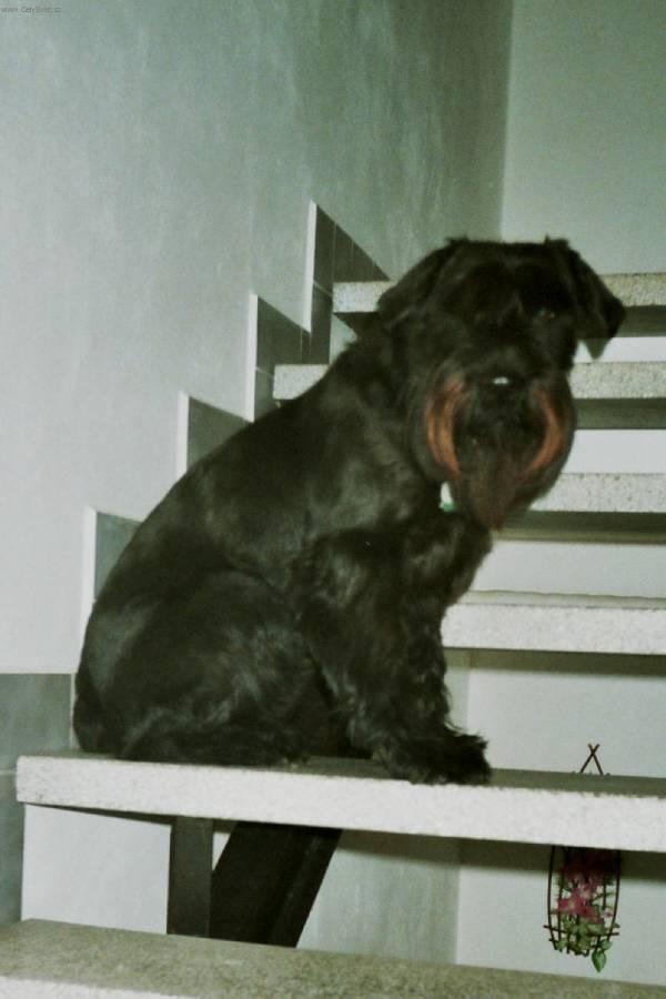 Fotky: Kn�ra� st�edn� (foto, obrazky)