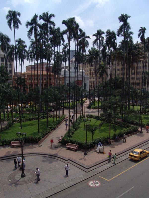 Foto: Kolumbie-Valle del Cauca