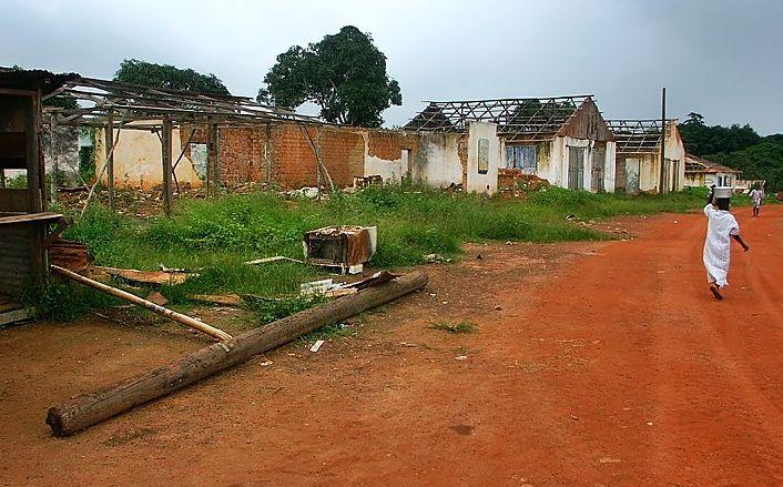 Foto: Lib�rie-Tapeta