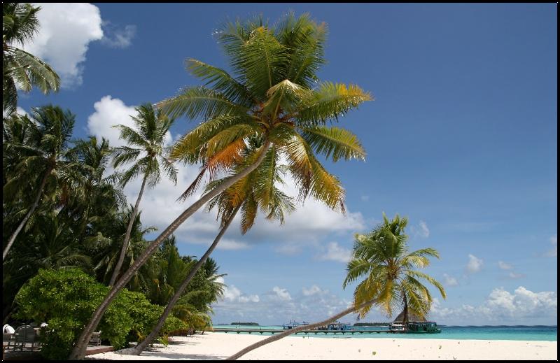 Foto: Maledivy-Dhaalu