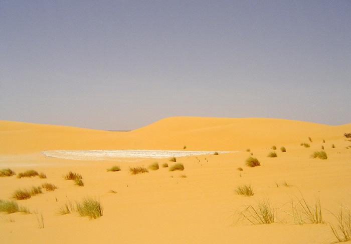 Foto: Mauret�nie-Adrar