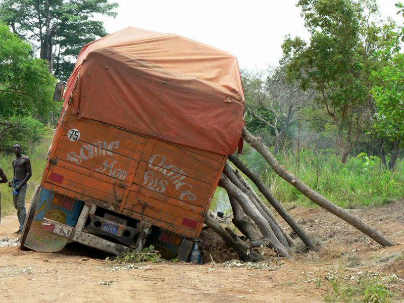 Fotky: Pob�e�� slonoviny (foto, obrazky)