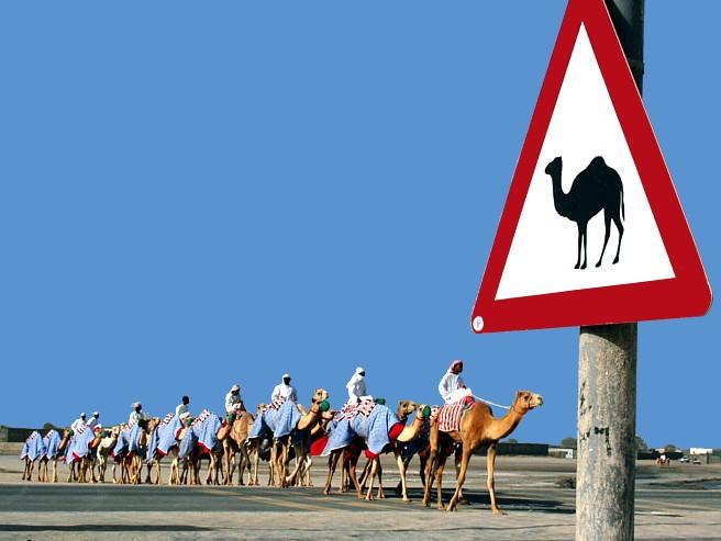 Foto: SAE � Spojen� Arabsk� Emir�ty