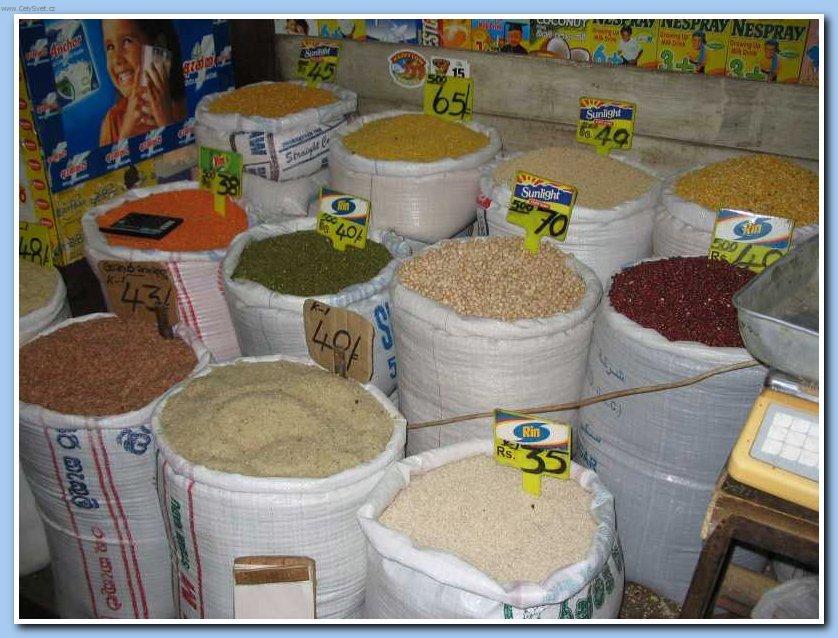 Fotky: Sr� Lanka (cestopis) (foto, obrazky)