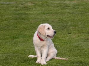 Foto: �t�n� a v�e o n�m