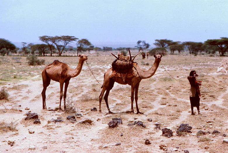 Foto: S�d�n-Port Sudan