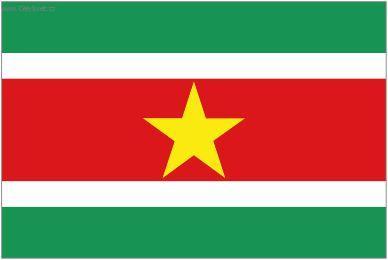 Foto: Suriname-st�tn� vlajka