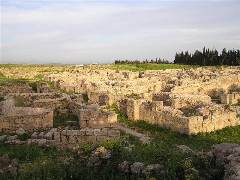 Fotky: S�rie (foto, obrazky)