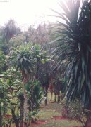 Fotky: Braz�lie (cestopis) (foto, obrazky)