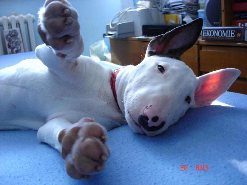 Foto: :o)