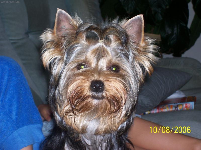Foto: Bessy