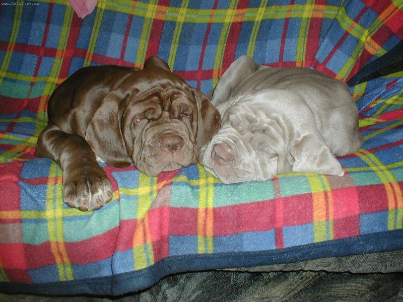 Foto: �t���tka