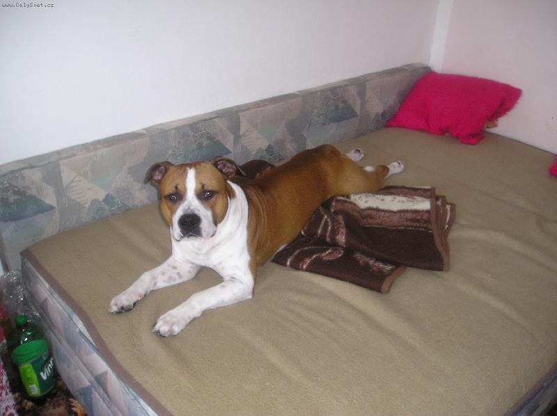 Foto: max