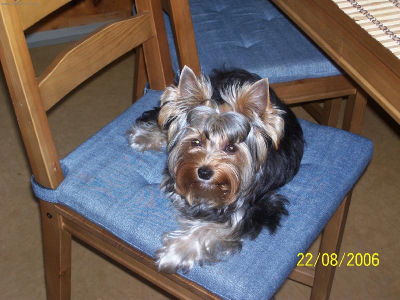 Foto: Bessy
