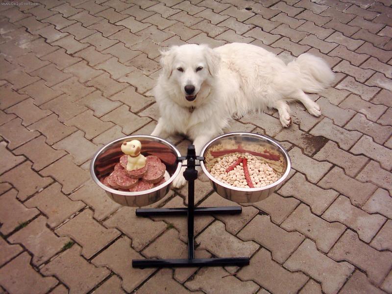Foto: 1. narozeniny