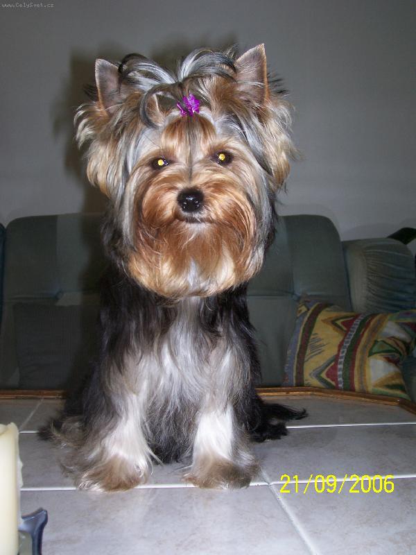 Foto: Bessy