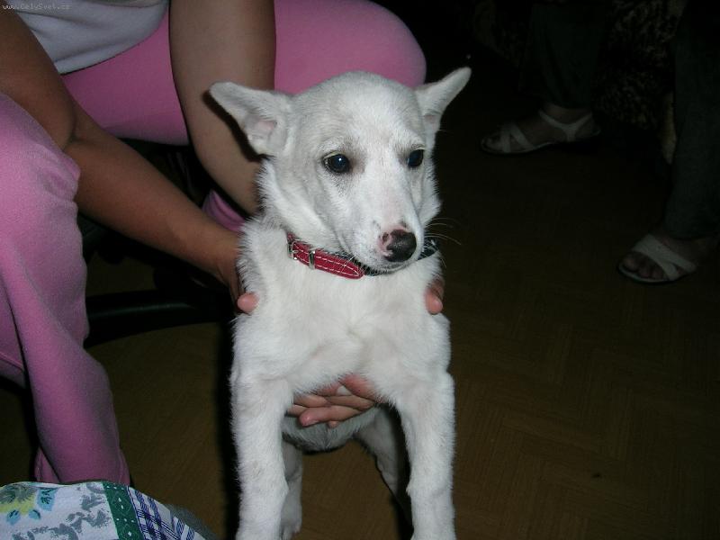 Foto: STENATKO-CO TO JE