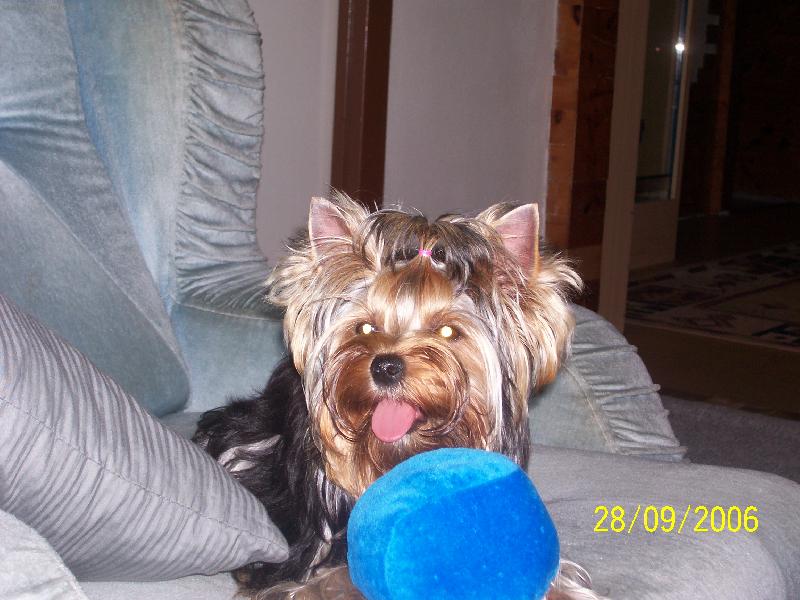 Foto: Bessy