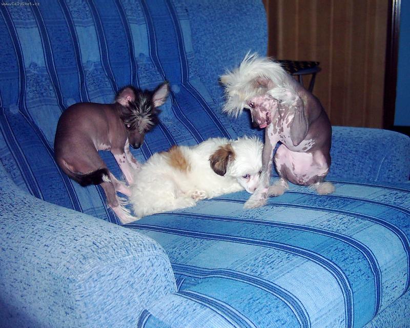 Foto: Holky jak si hraj�