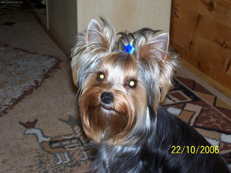 Foto: Bessy