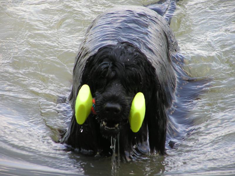 Foto: Aportov�n�