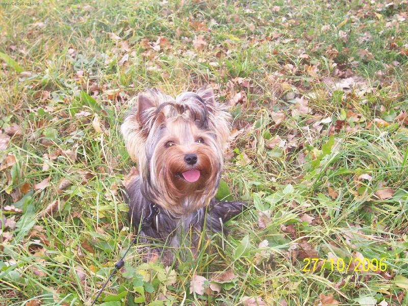 Foto: Bessy