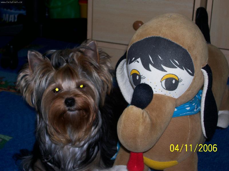 Foto: Bessy