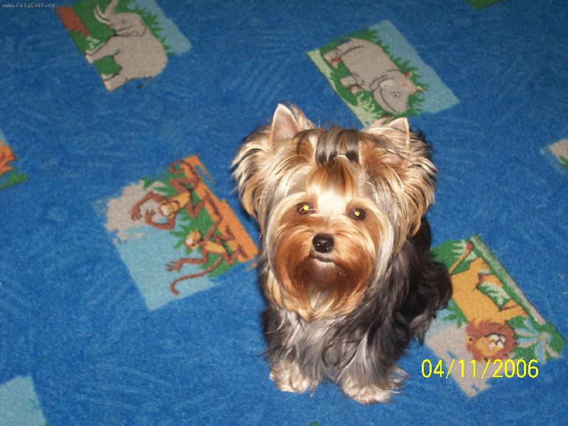 Foto: Bessy