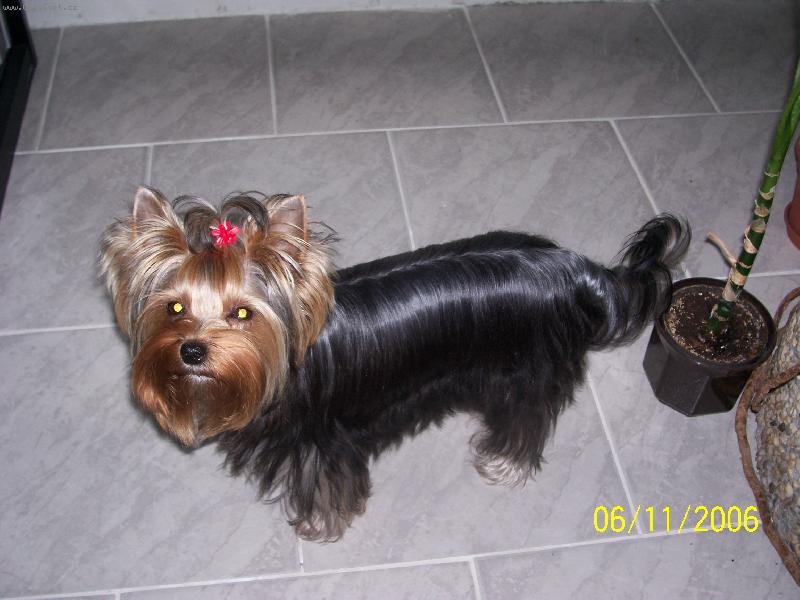 Foto: Bessy