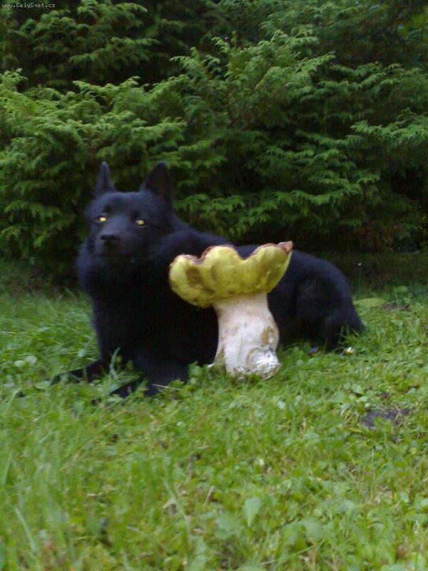 Foto: Belli Rudolfovsk� Sk�la