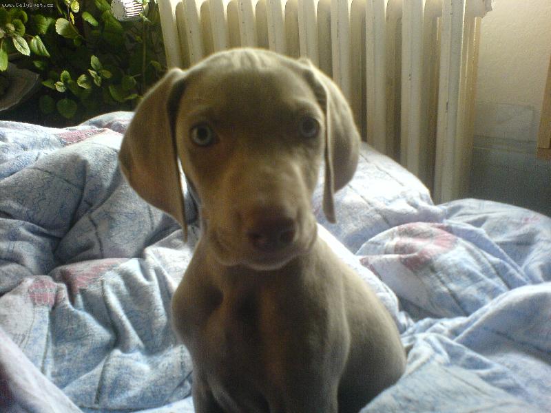 Foto: Arwen ;)