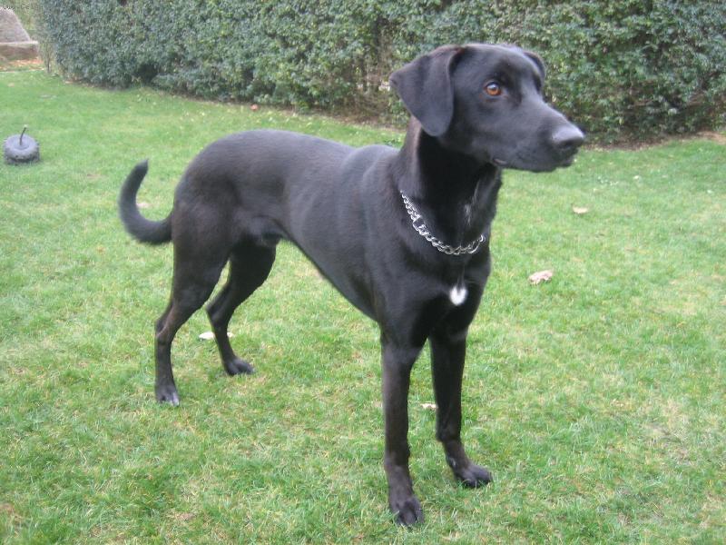 Foto: Malorsk� ov��k-Ford�k