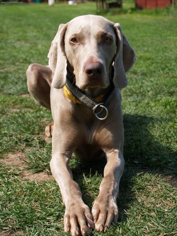 Foto: vypad�m jako ta modelka z TV?-prost� kus...