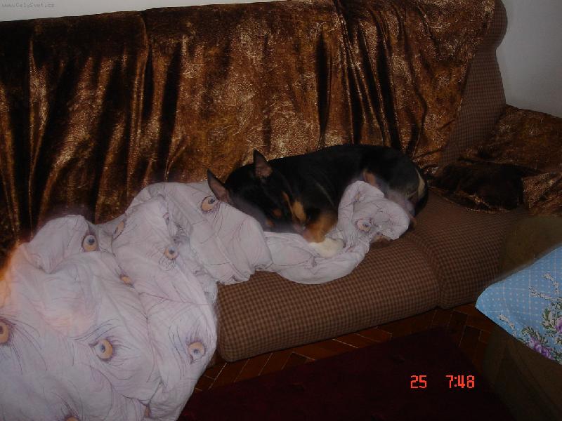 Foto: Apollo