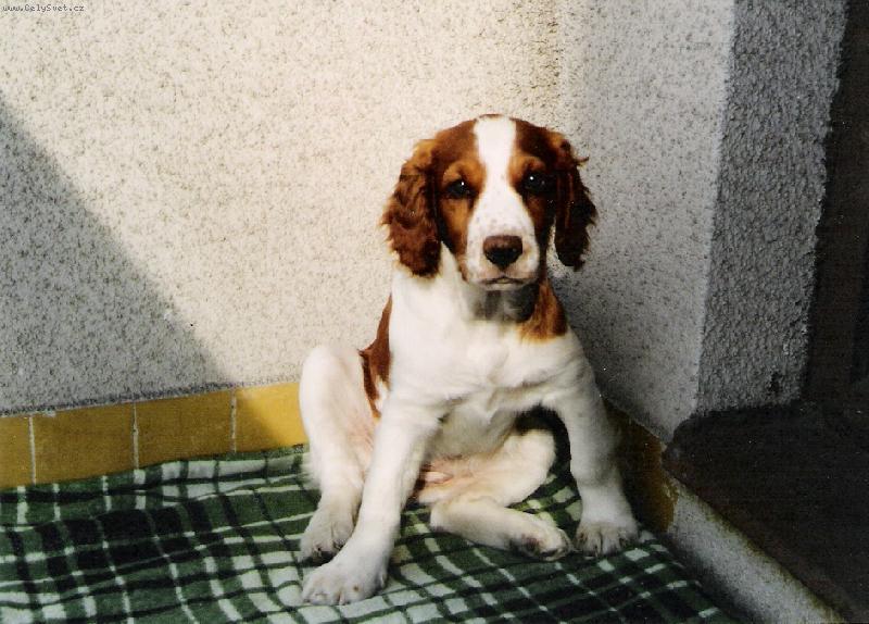 Foto: WSS-je�t� vyjukan�