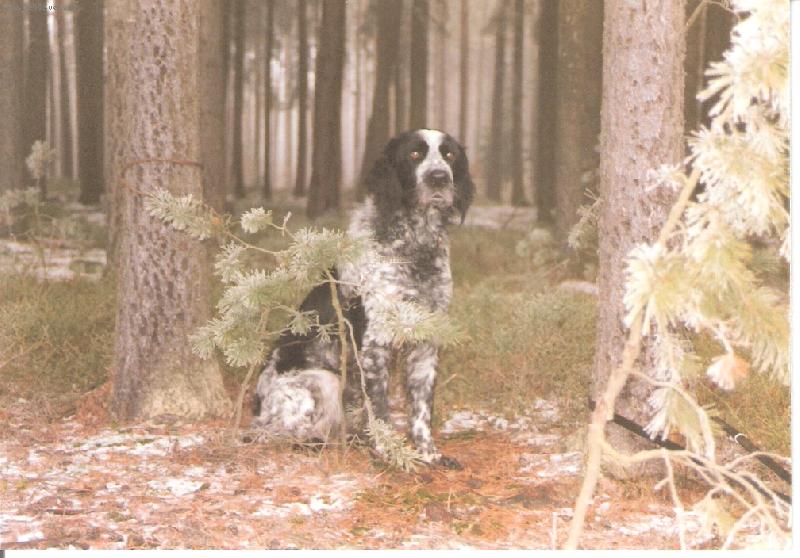 Foto: Or z L�ck�ho bo��