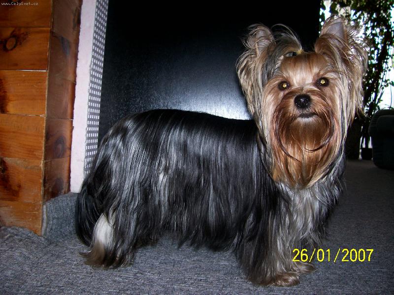 Foto: Bessy
