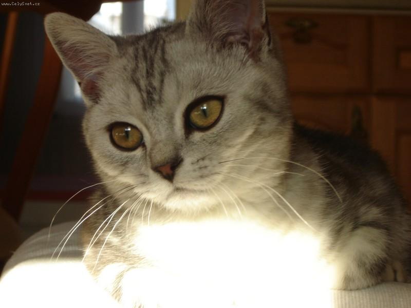 Foto: kuk