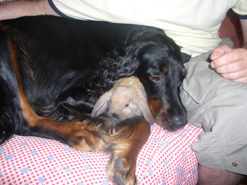 Foto: Gordon setr a kr�l��ek ??-Je mi tady dob�e