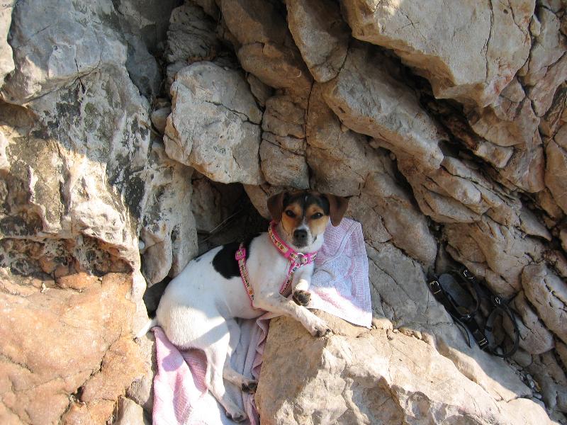 Foto: Na�e hol�i�ka