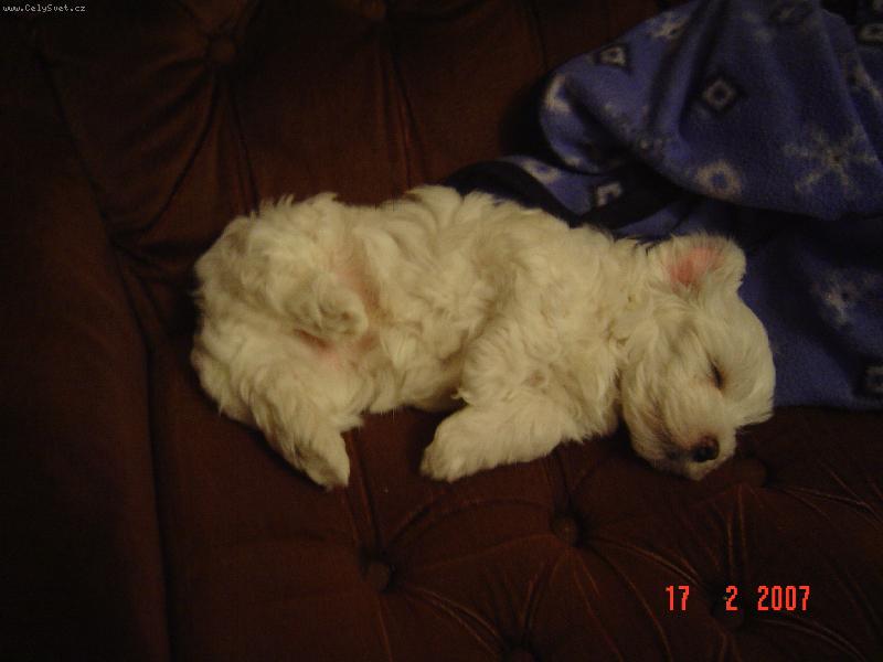 Foto: Charlie