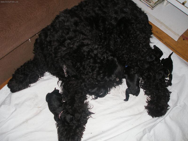 Foto: Cami Kettfar a jej� mim�a