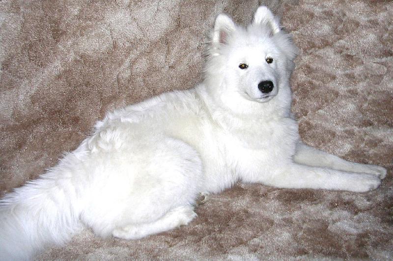 Foto: odpo�inek po proch�zce