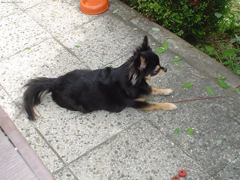 Foto: bea