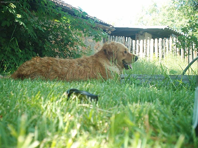 Foto: Jesi