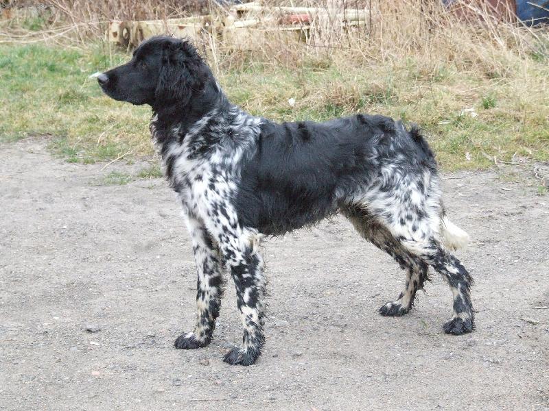 Foto: Kim od Star� vsi