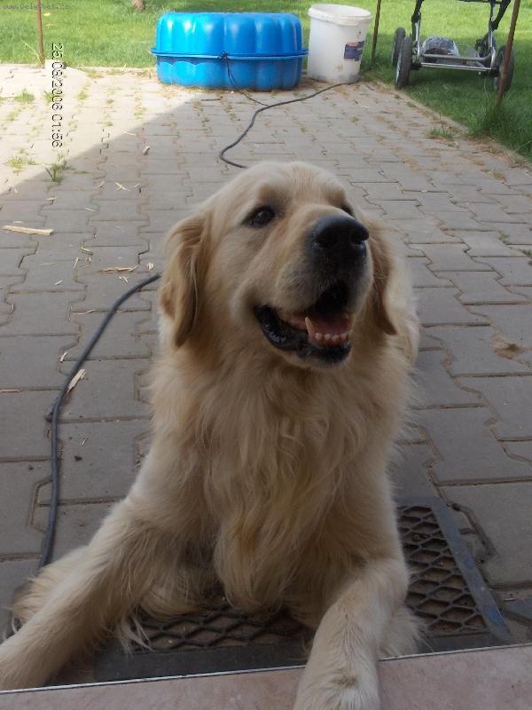 Foto: Max