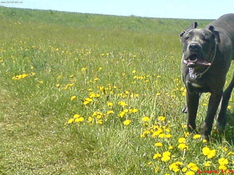 Foto: :-))